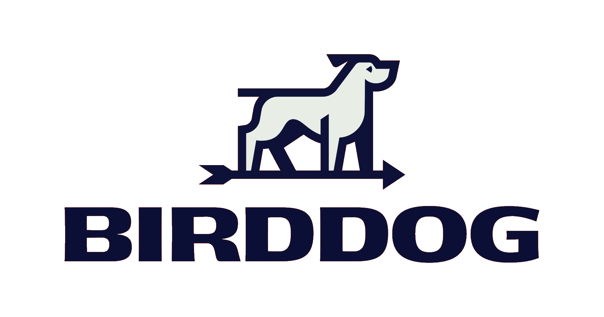 Bird Dog Adventures logo